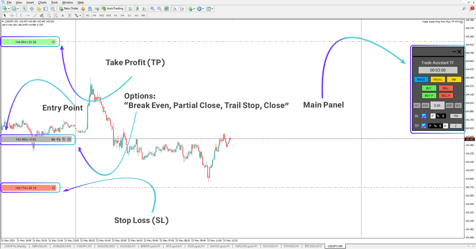Prop Firm Capital Protection Expert MT4 – Download - [TFlab]
